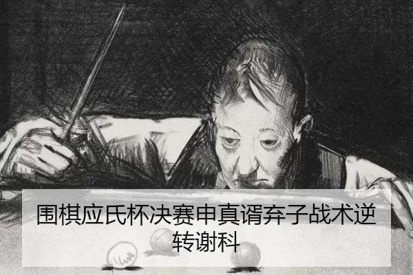 围棋应氏杯决赛申真谞弃子战术逆转谢科